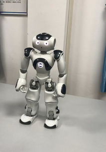 智慧賦能新形態 武漢高校學子引領深度學習機器人創新風潮